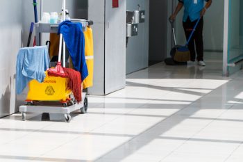 Professional Cleaners Hillsboro Or