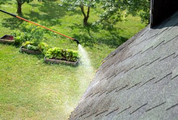 Spraying Moss Removing Chemical To Domestic Home Roof. Moss Removal Concept.