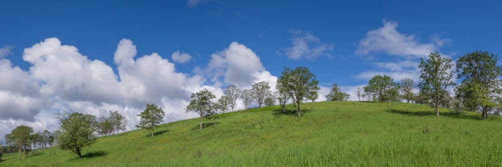 Oak Hill Oregon.