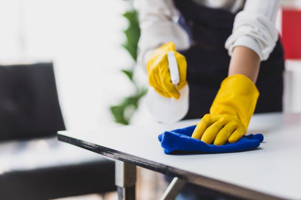 Professional Cleaning Services In Portland Or