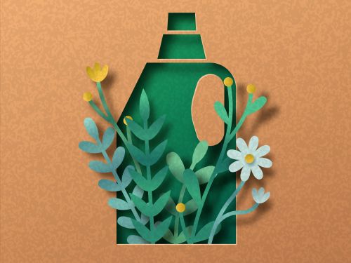 Eco Friendly Cleaning Practices